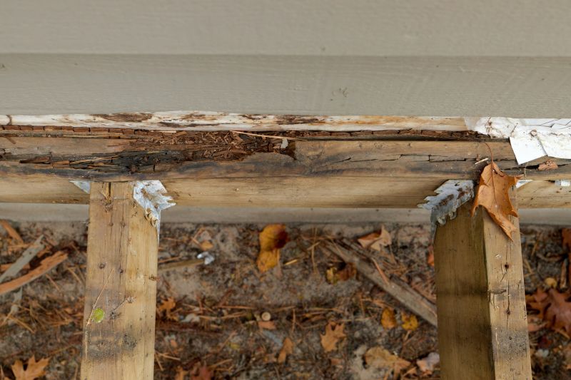 Dry Rot Remediation in Denver, CO