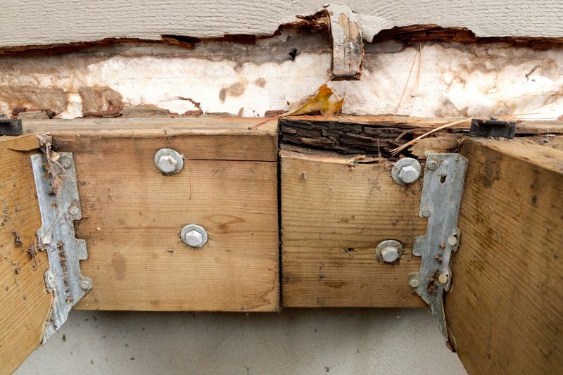 Dry Rot Repair in Wilmington, NC