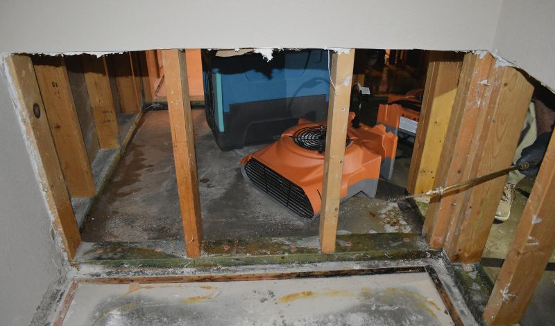 Crawl Space Water Remediation in Phoenix, AZ