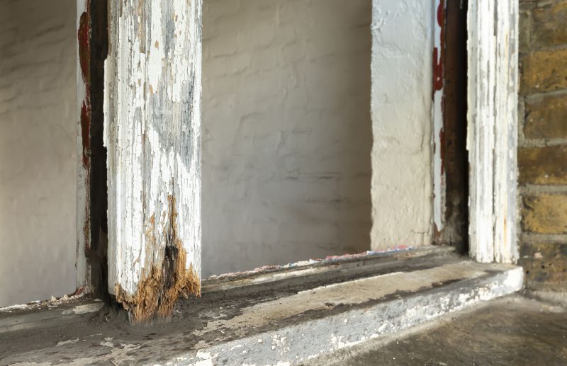 Decay Repair Service in Denver, CO