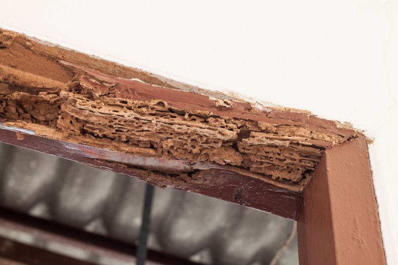 Decayed Wood Replacement in Littleton, CO