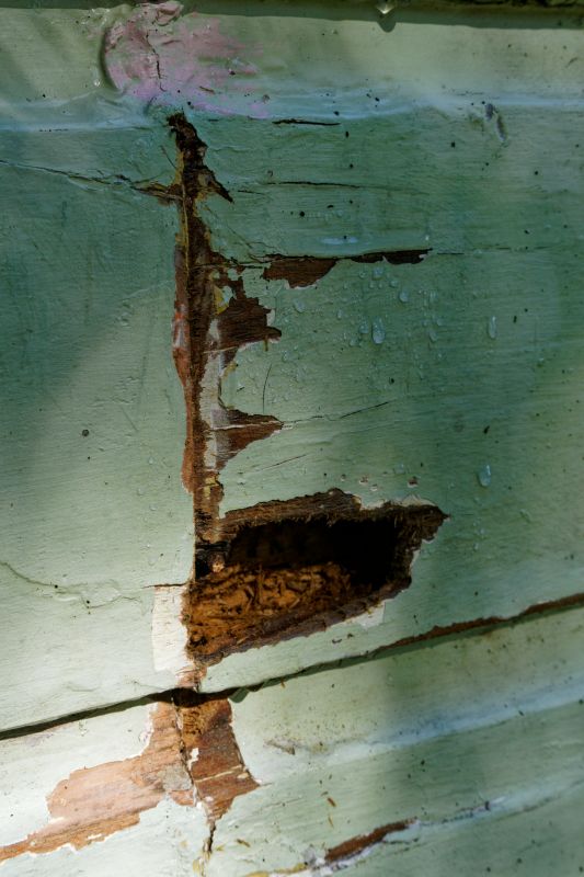 Decayed Wood Replacement in Longmont, CO