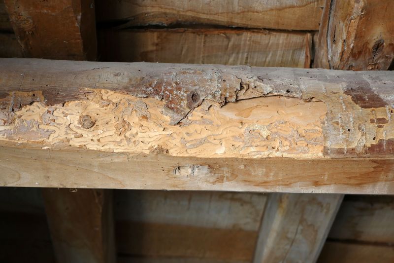 Decayed Wood Replacement in Overland Park, KS