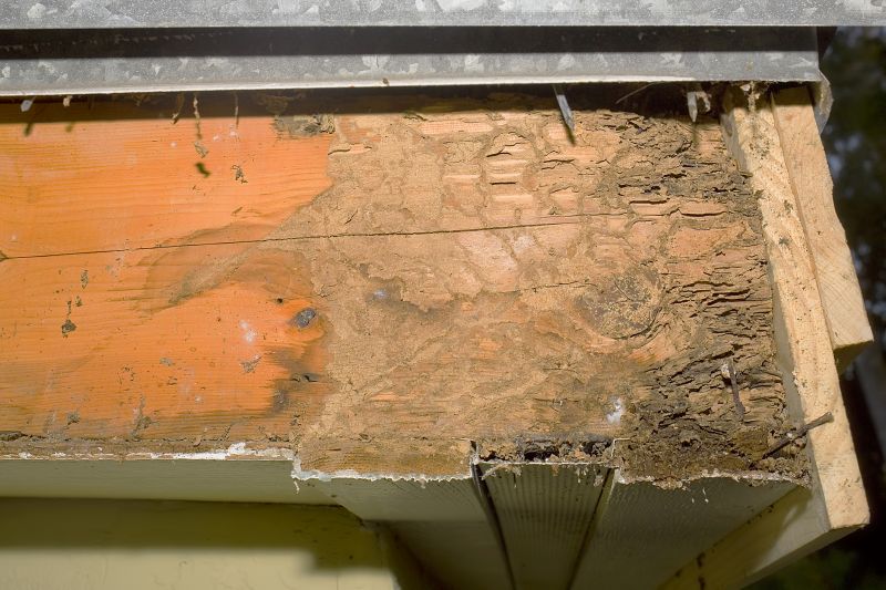 Dry Rot Repair in Olathe, KS