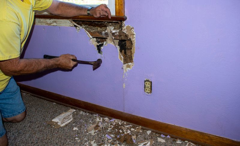 Pest Damage Repair in Alpharetta, GA