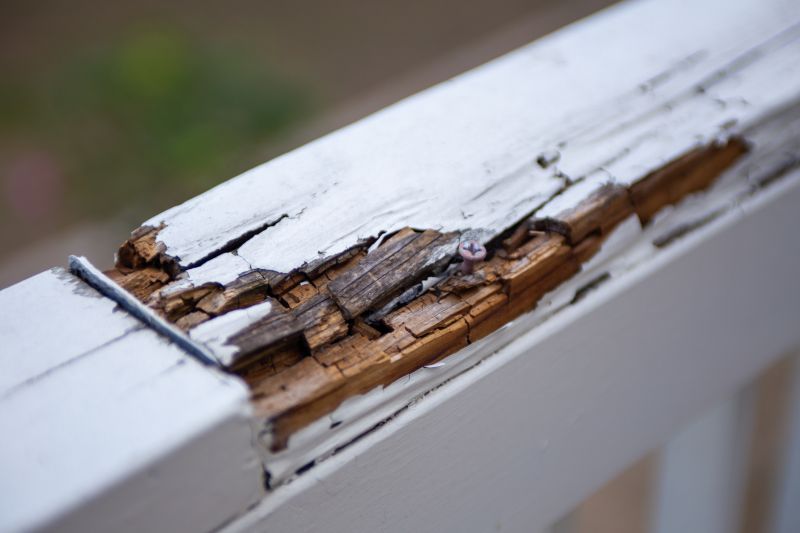 Rot Repair Service in Denver County, CO