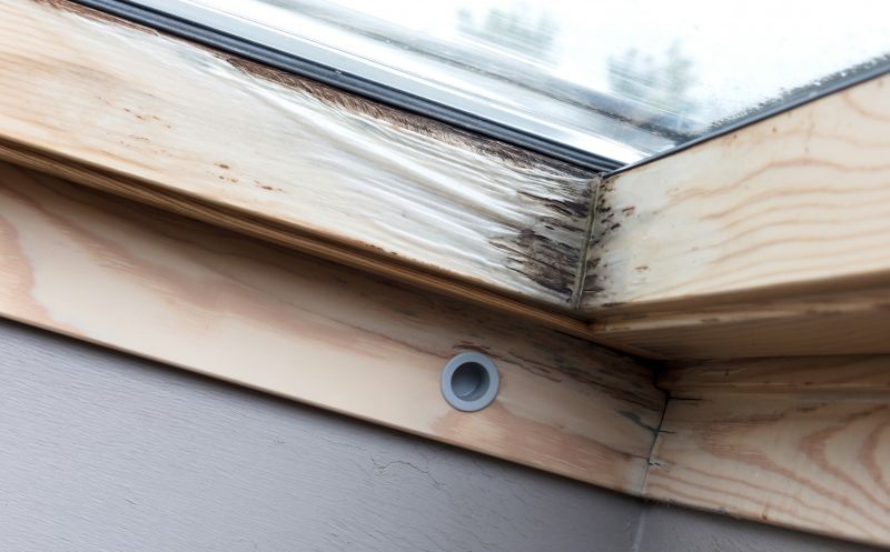 Rot Repair Service in Longmont, CO