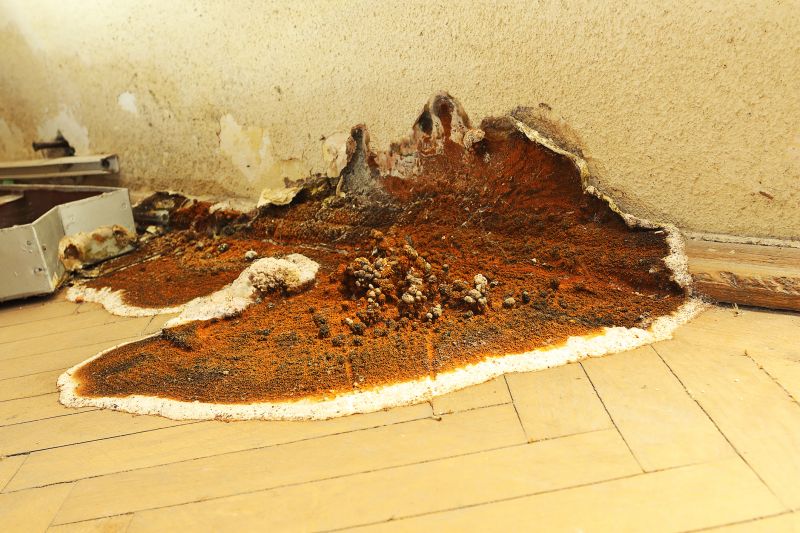 Rotten Wood Repair in Olathe, KS