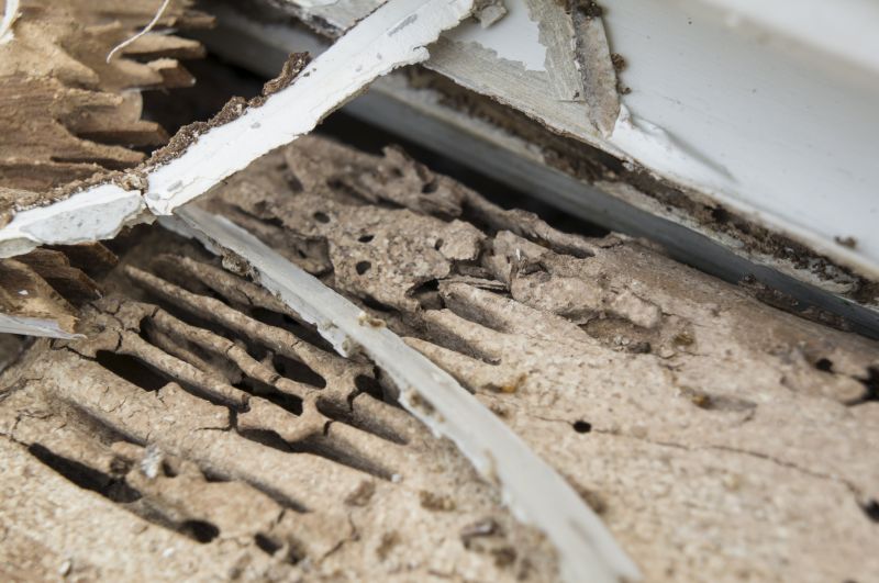 Rotten Wood Repair in Roswell, GA