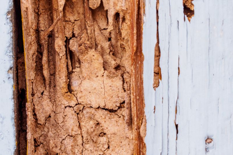 Rotten Wood Repair in Denver County, CO