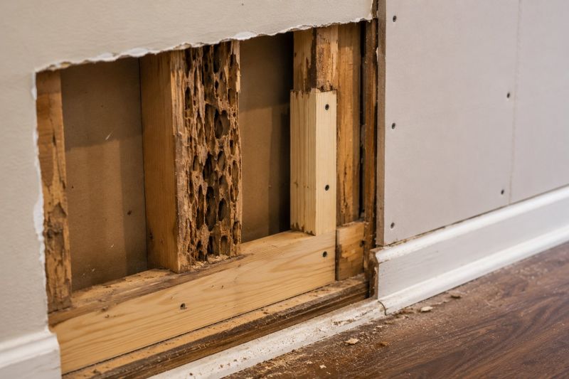 Termite Damage Repair Service in Arvada, CO