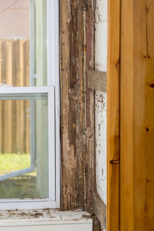 Termite Damage Restoration in Overland Park, KS