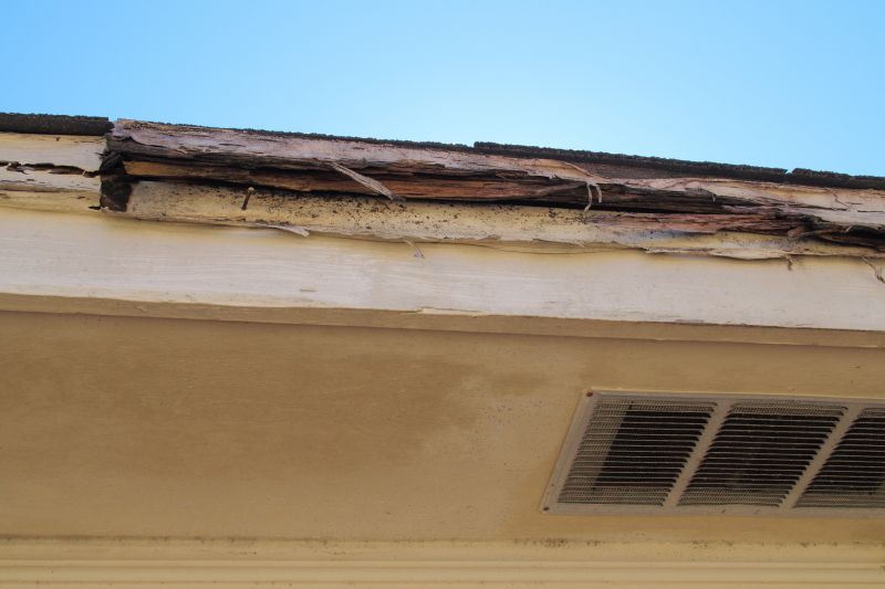 Termite Damage Restoration in Boulder, CO