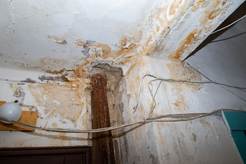 Water Damage Repair in Phoenix, AZ