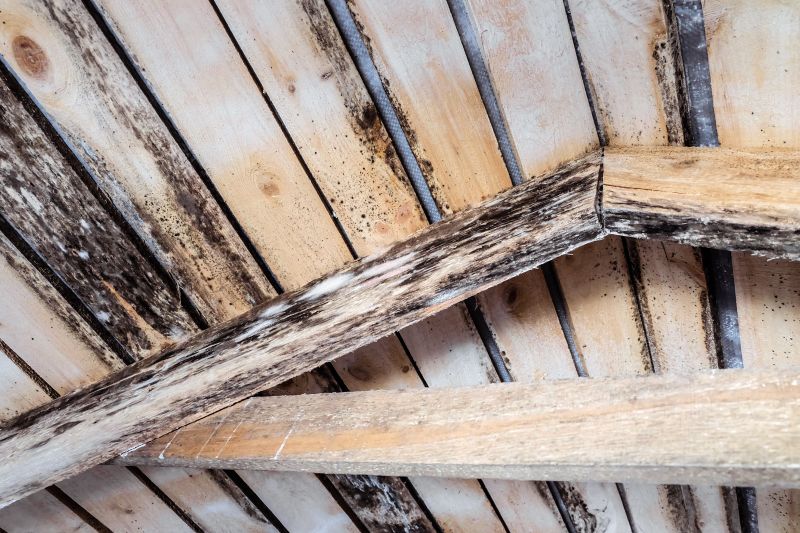 Who Does Rotted Wood Repairs