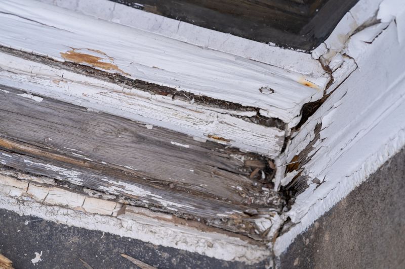 Wood Decay Removal in Kansas City, KS