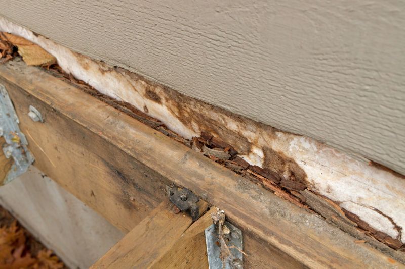 Wood Rot Removal in Denver County, CO