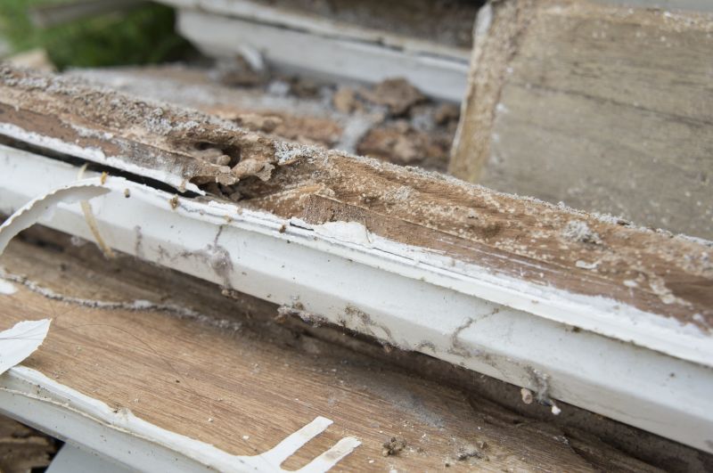 Wood Rot Repair in Boulder, CO