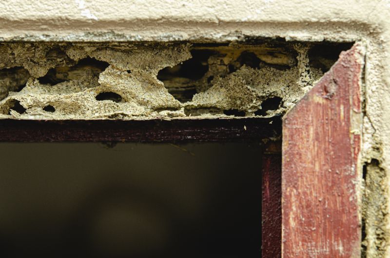 Wood Rot Repair in Olathe, KS